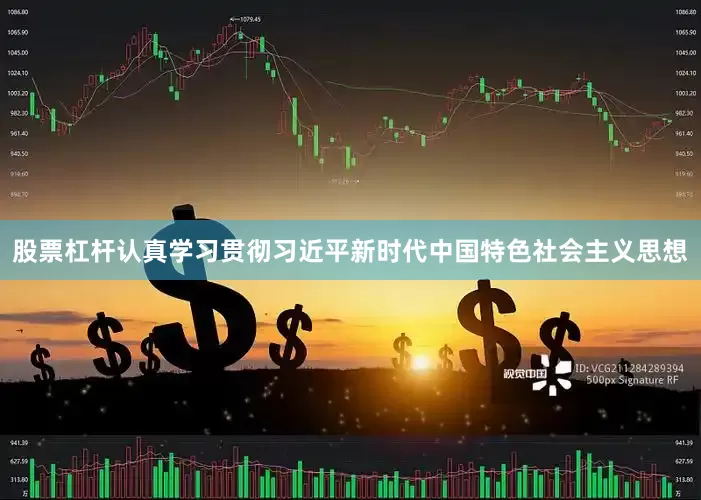 股票杠杆认真学习贯彻习近平新时代中国特色社会主义思想